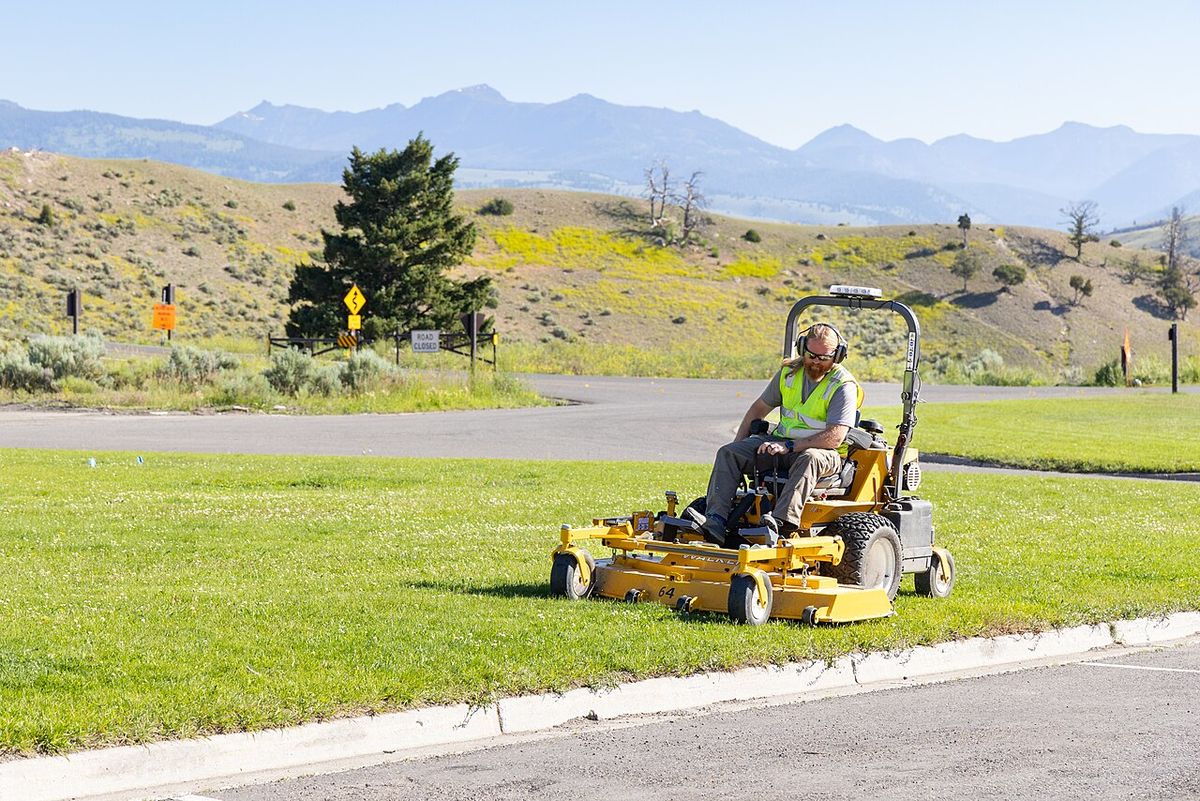 Professional landscaper maintaining a home exterior