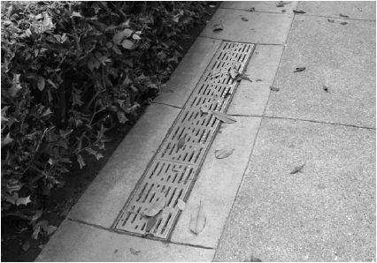 Metal channel drain grate installed along a paved surface