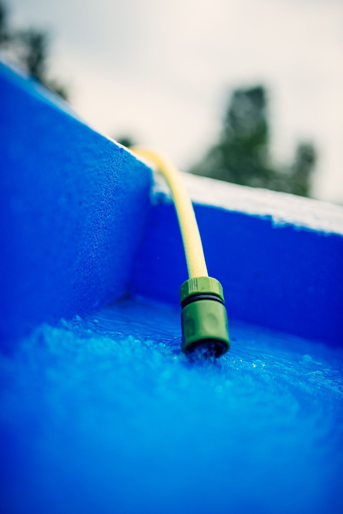 Garden hose filling a blue above-ground swimming pool with water