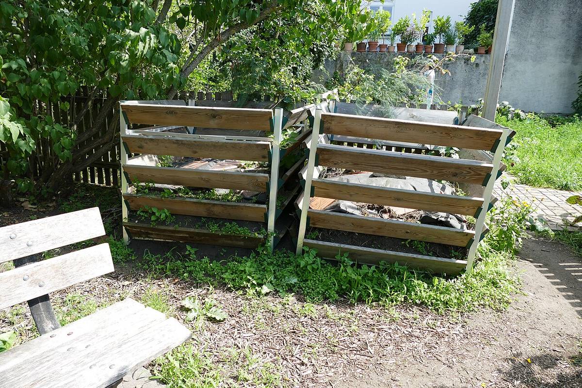 Compost bins in a garden