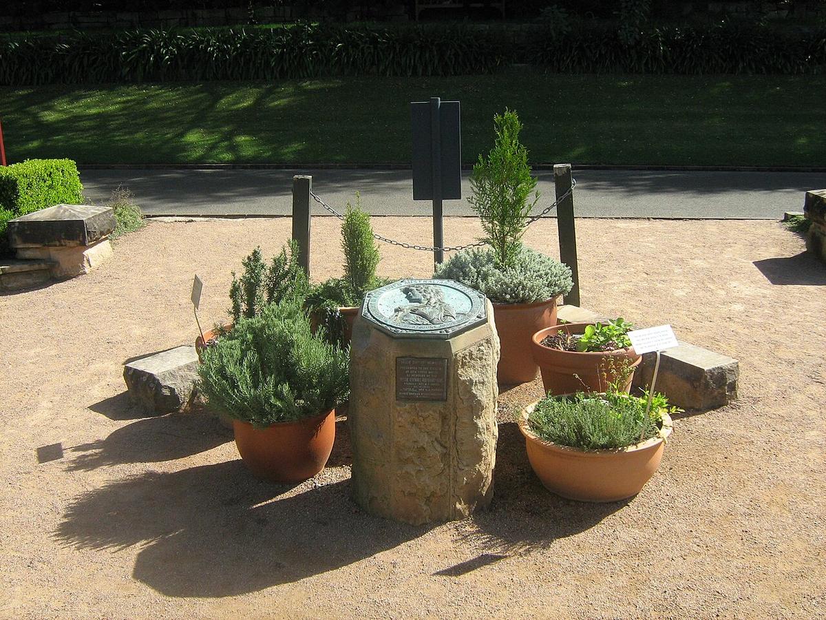 Herb garden planters beside an outdoor kitchen