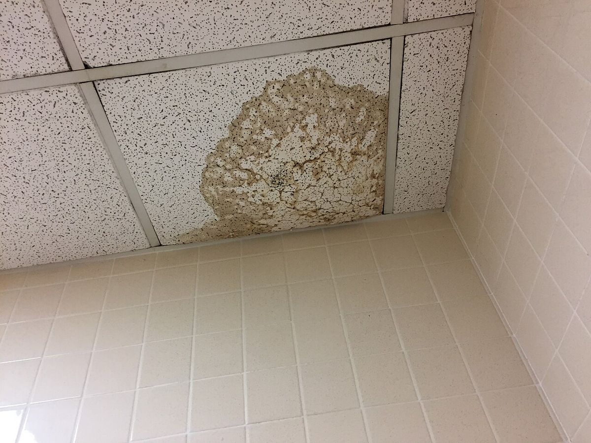 Water damage from a ceiling leak in a home